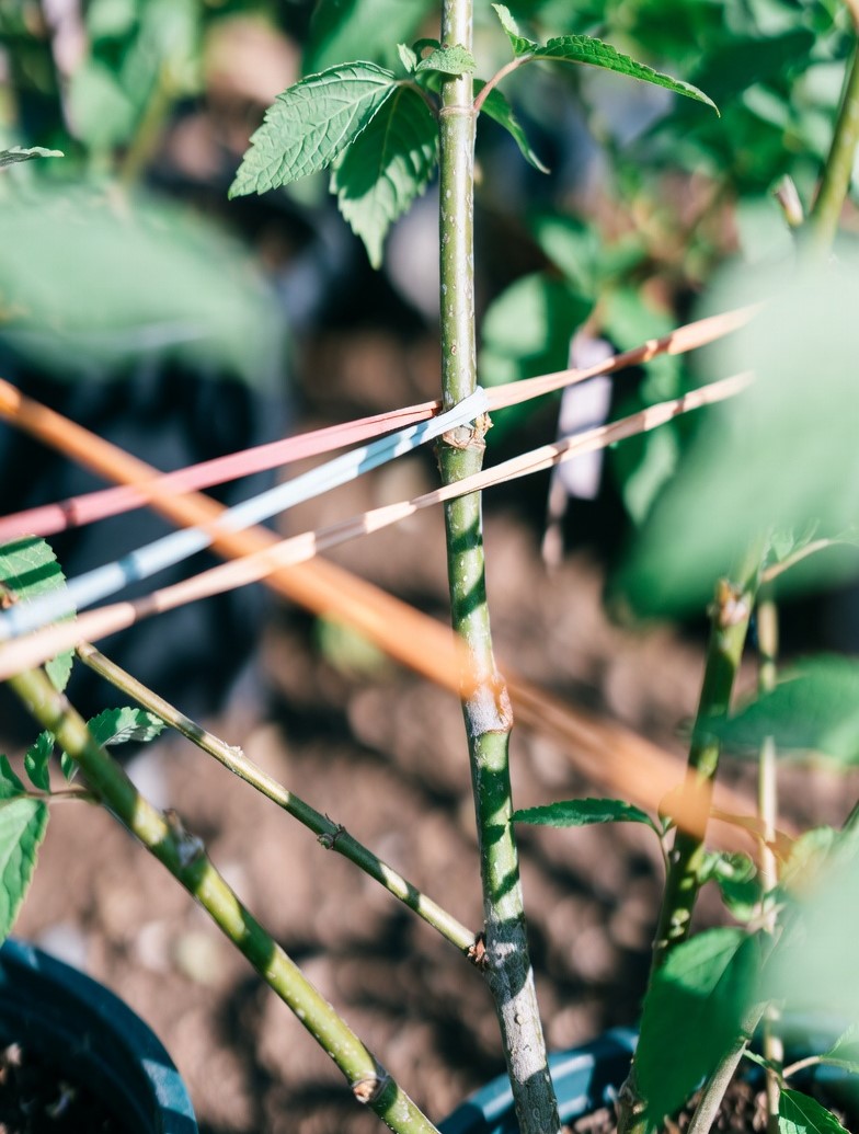 Weather-Resistant Rubber Bands